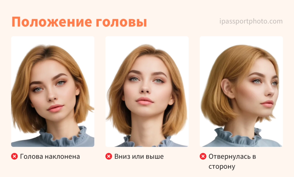 Требования к фото на документы - Положение головы